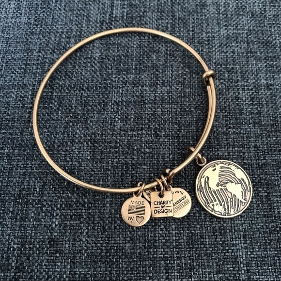 Alex and Ani Earth Charm Bangle Bracelet - Picture 1 of 4